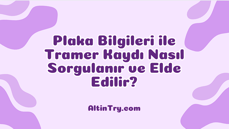 Plaka Bilgileri ile Tramer Kaydı Nasıl Sorgulanır ve Elde Edilir?