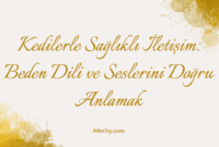 Kedilerle Sağlıklı İletişim: Beden Dili ve Seslerini Doğru Anlamak