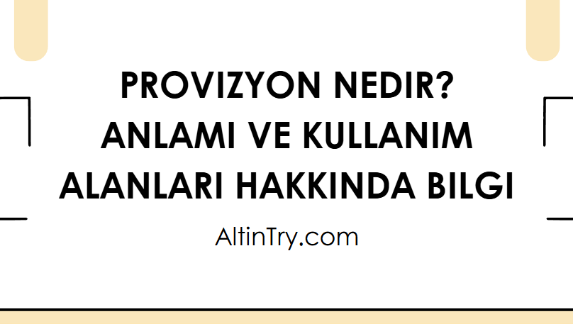 Provizyon Nedir? Anlamı ve Kullanım Alanları Hakkında Bilgi